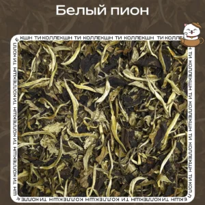 купить чай белый пион