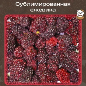 Сублимированная ежевика loading=