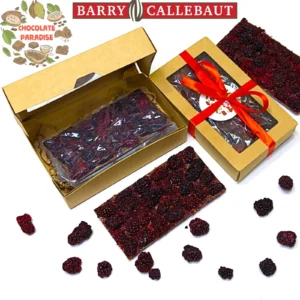 Молочный шоколад с сублимированной ежевикой в подарочной упаковке loading=