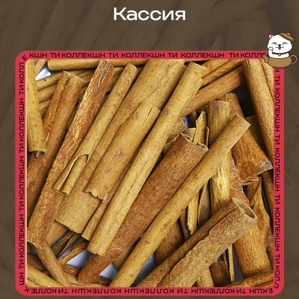 купить кассию