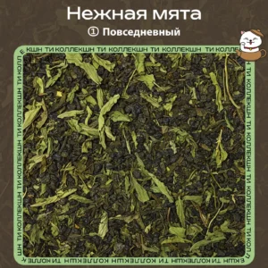 Зелёный чай «Нежная мята» (① Повседневный) loading=
