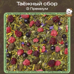 купить зеленый чай таежный сбор премиум