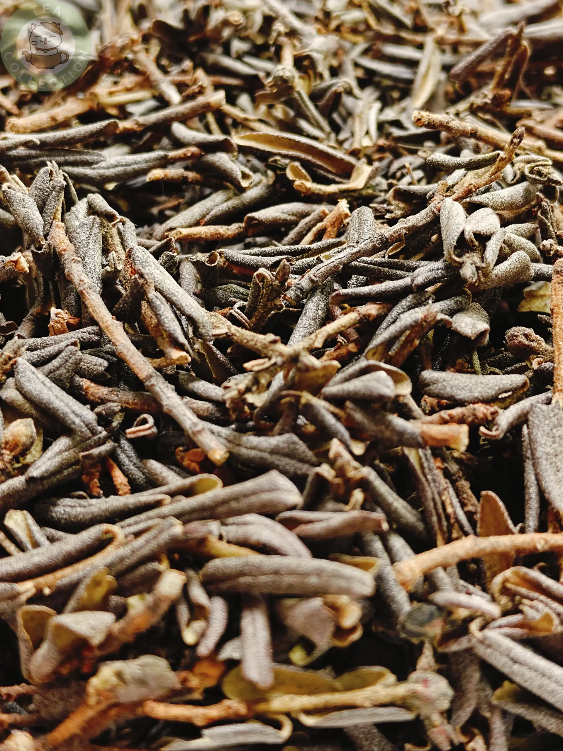 Саган дайля — изображение 4