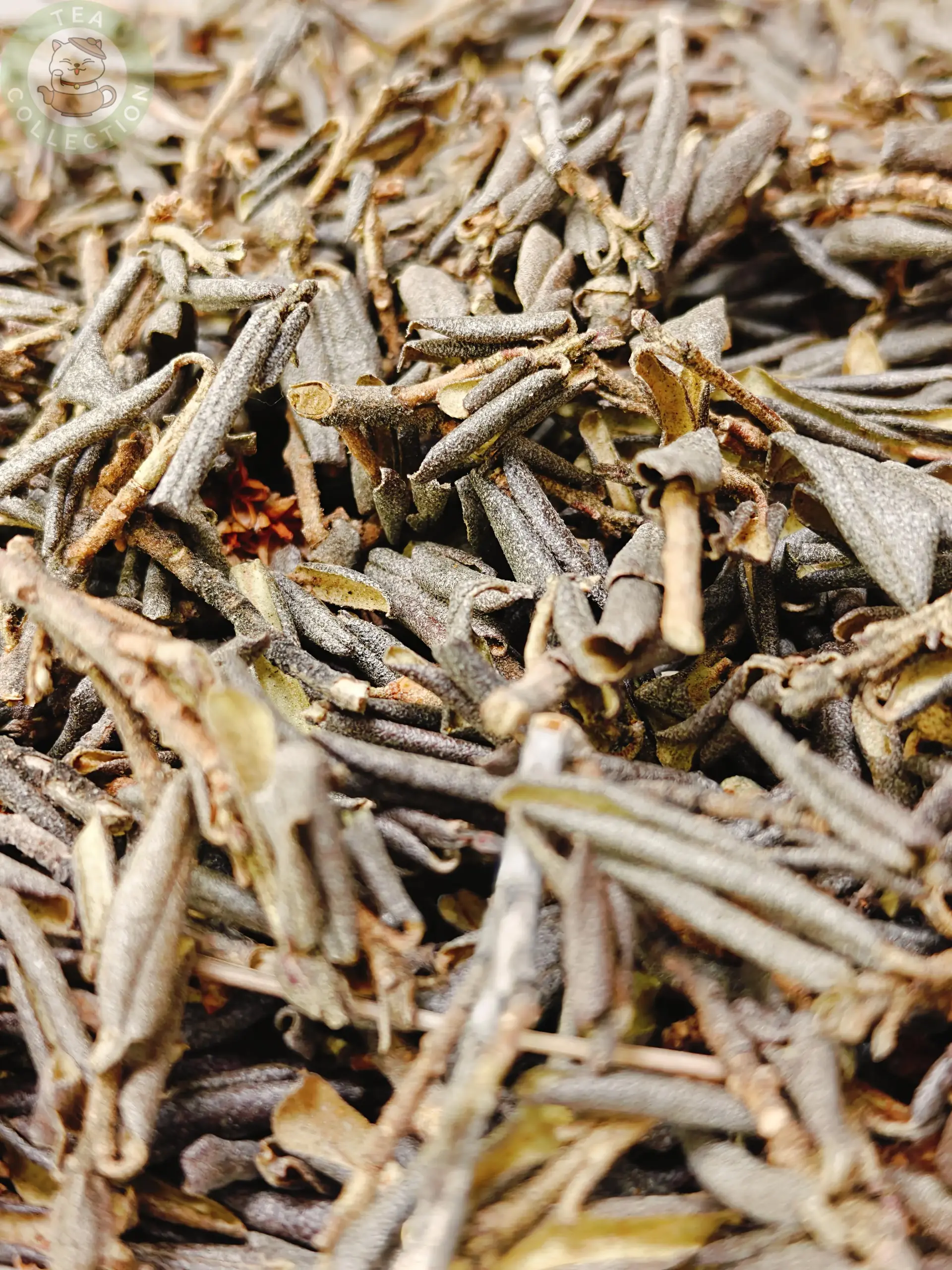 Саган дайля — изображение 5