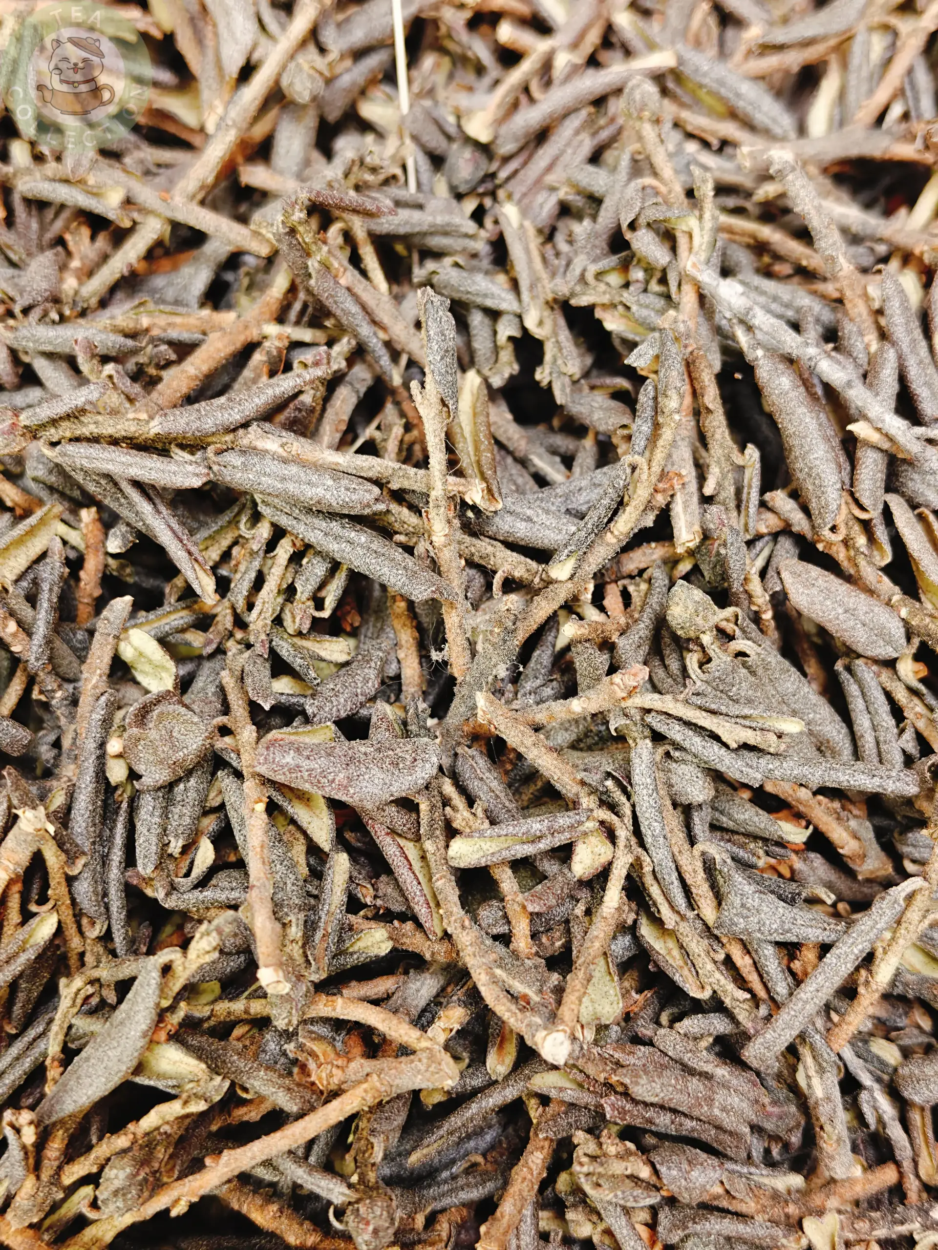 Саган дайля — изображение 6